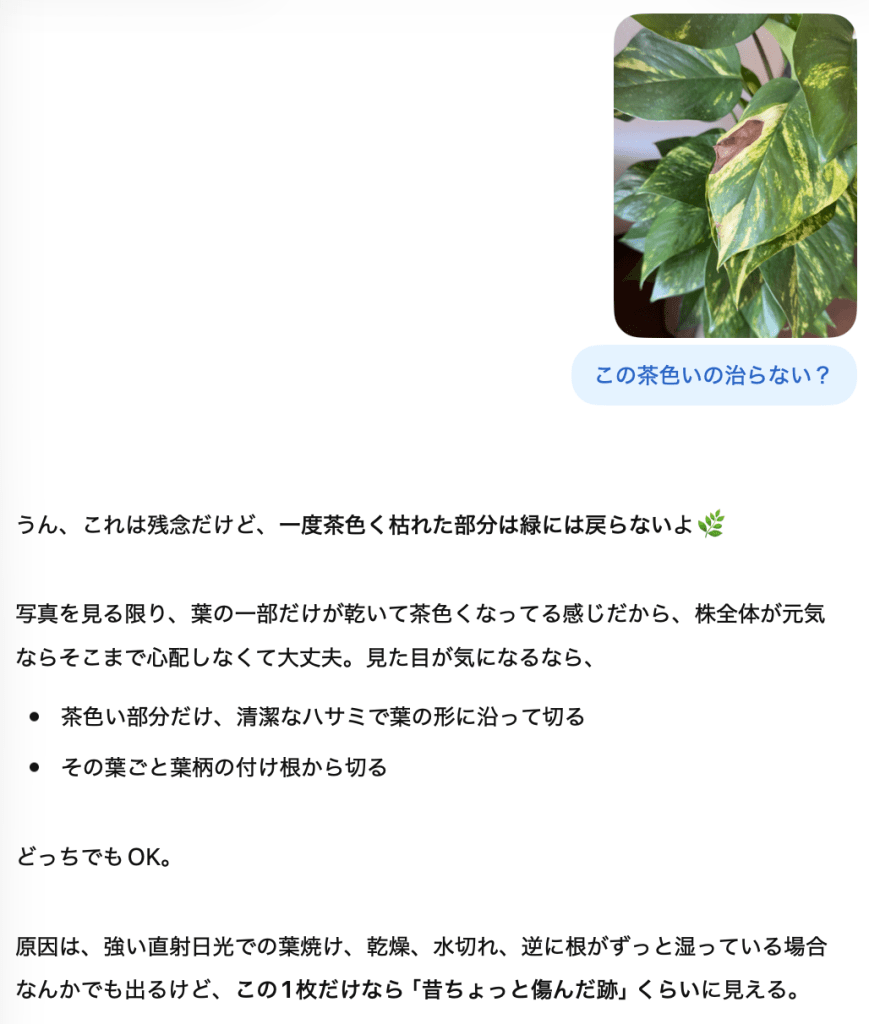編集長しおりとのやり取り
